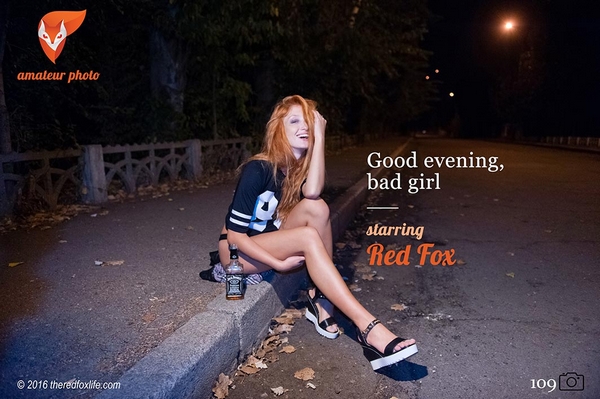 [TheRedFoxLife] Red Fox - Good Evening, Bad Girl