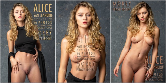 Alice - Photosets For Morey Studio