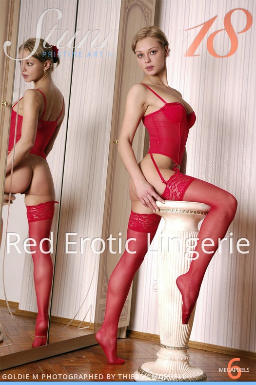 [Stunning18] Red Erotic Lingerie