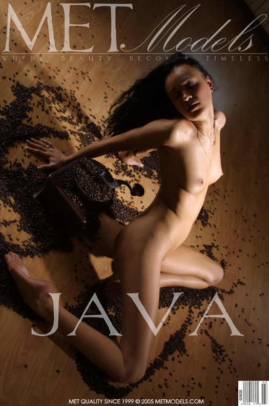 [MetModels] Rhoda - Java